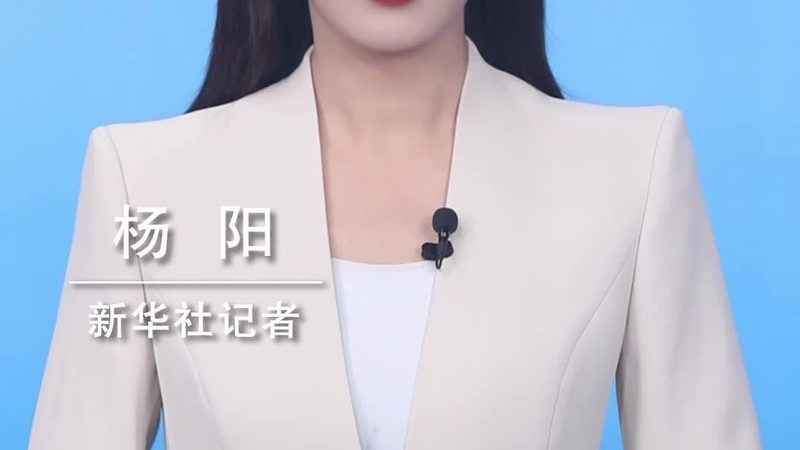 智能客服系统故障排查：常见问题与解决策略